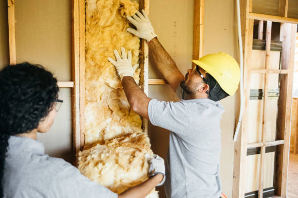 Best Wall Insulation Contractor  in Brookville, OH