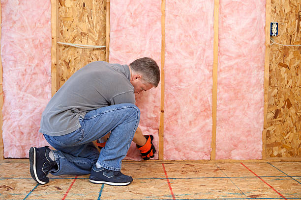 Best Attic Insulation Installation  in Brookville, OH