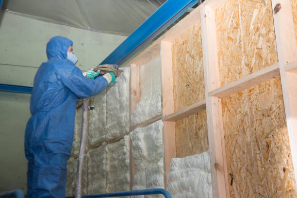 Best Insulation Removal Services  in Brookville, OH